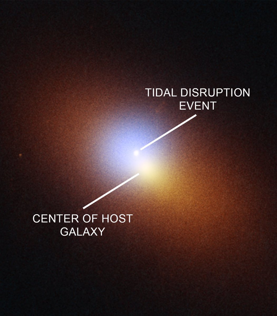 Chandra Observatory (@chandraxray) on Twitter photo A black hole has torn apart a star in an unusual location — almost 3,000 light-years away from the center of a galaxy. This off-center event suggests the presence of a second supermassive black hole in the same galaxy. More at: s.si.edu/bhtde 💫 A black hole has torn apart a star in an unusual location — almost 3,000 light-years away from the center of a galaxy. This off-center event suggests the presence of a second supermassive black hole in the same galaxy. More at: s.si.edu/bhtde 💫