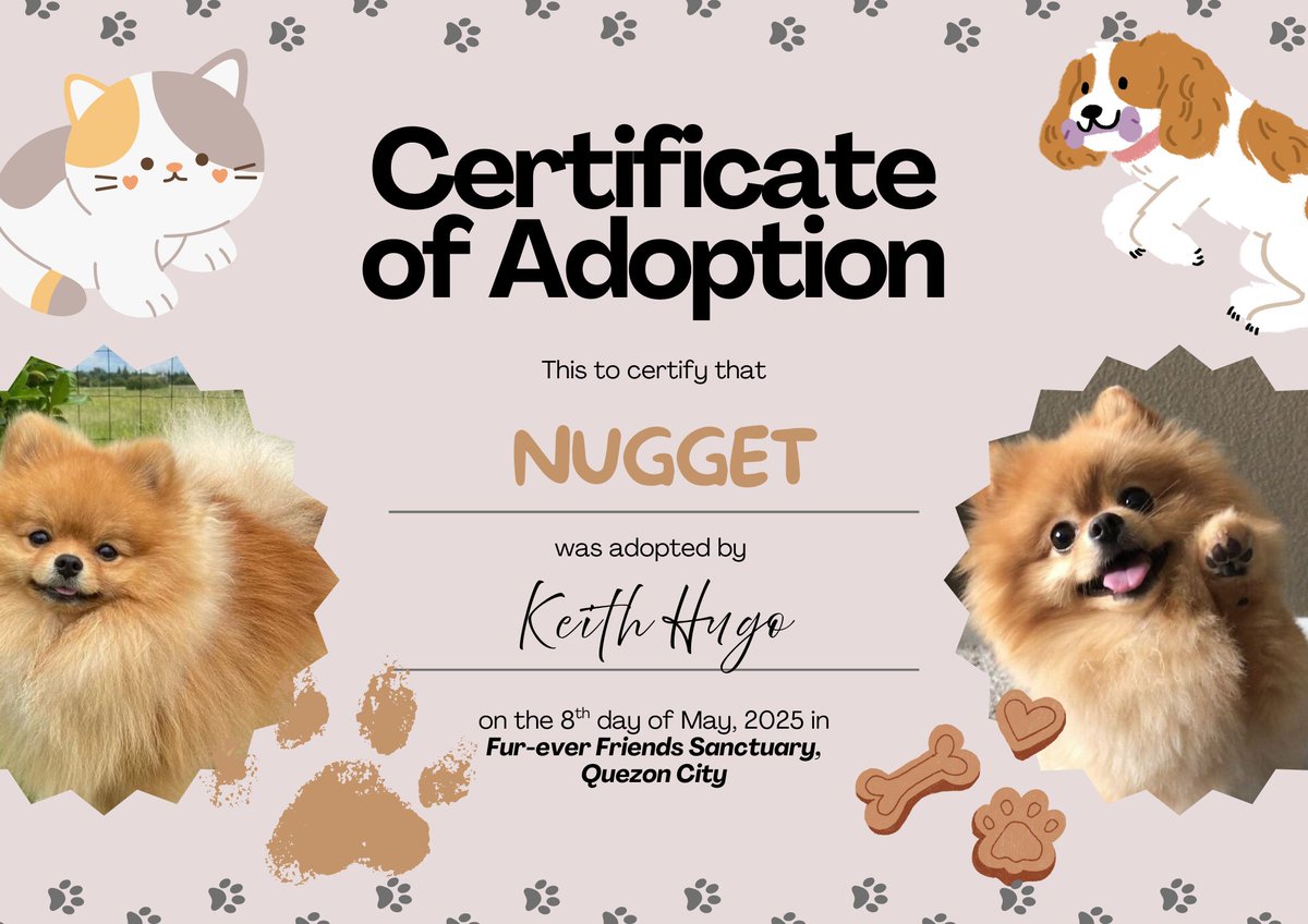 NUGGET was adopted by <a href="/commitcyanide/">keith.</a> 🐶🧡