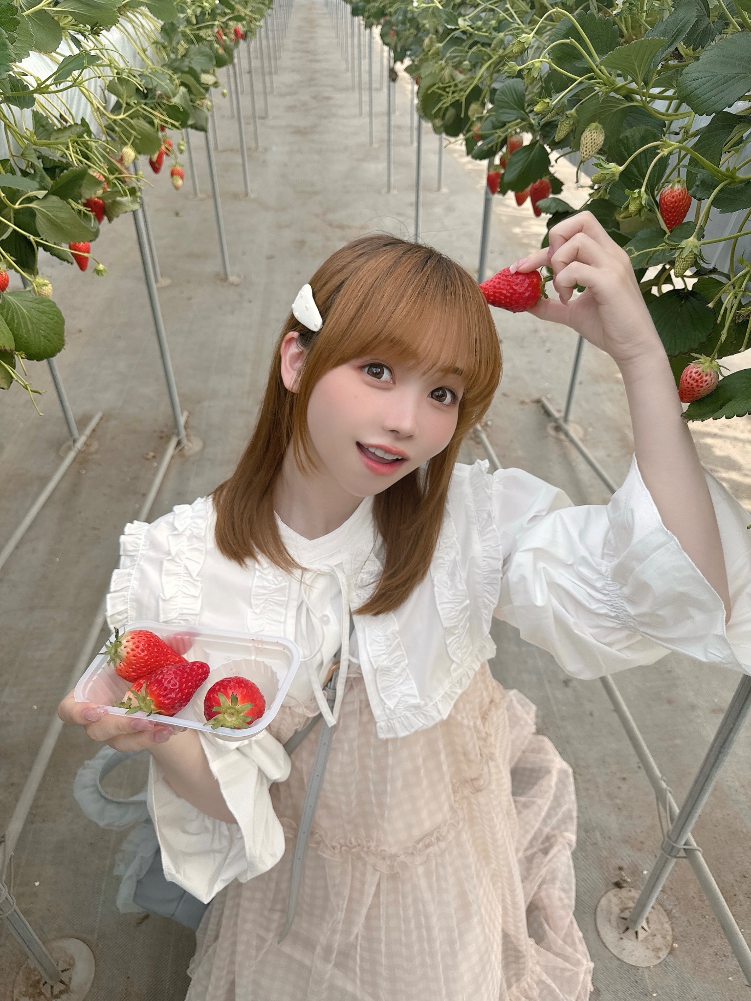 日向 春菜(ハルナンデス) (@haruna6haruna) / X