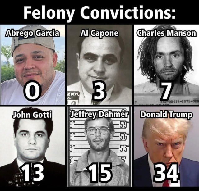 Damaan4u33's tweet photo. Reminder, the president of the United States of America is one of the most convicted people in America history! https://t.co/qIJ3c6t8r3