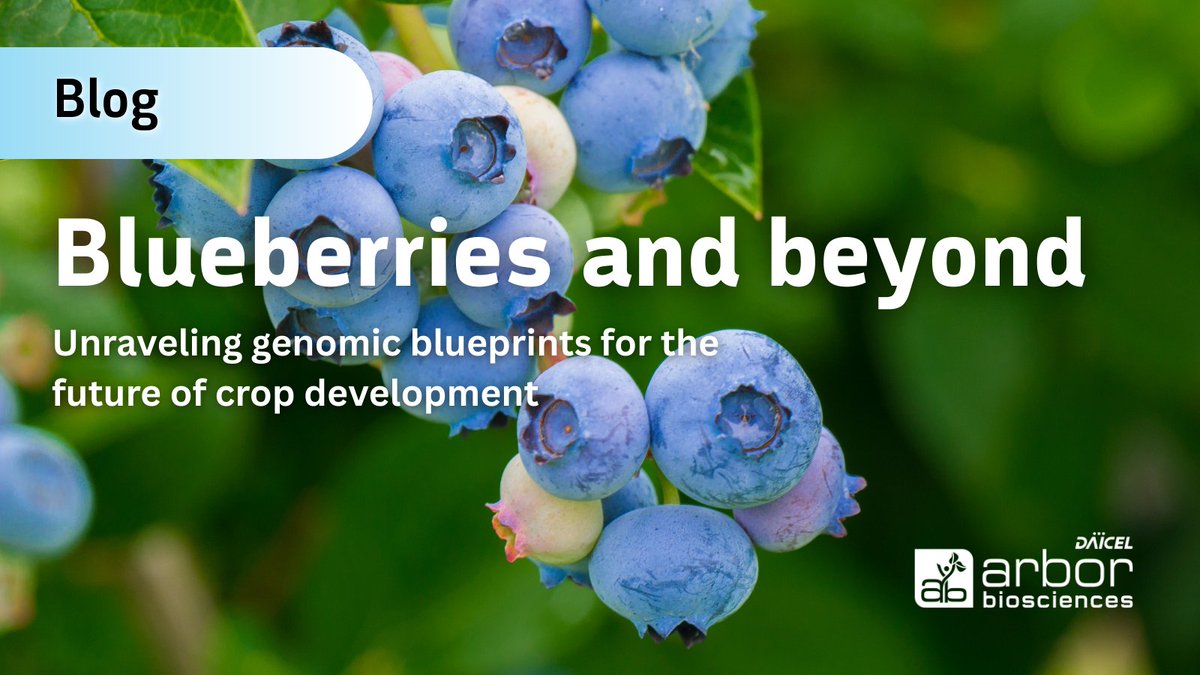 Daicel Arbor Biosciences (@arborbio) on Twitter photo Inside the Andean blueberry’s DNA lies nature’s survival playbook. With support from the 2024 #AVITI for #Agrigenomics Grant from <a href="/ArborBio/">Daicel Arbor Biosciences</a> & <a href="/ElemBio/">Element Biosciences</a>, Dr. Jacob B. Landis (<a href="/Cornell/">Cornell University</a>) set out to understand how this plant adapts to extremes 🌿🔬
Read here👉 bit.ly/44MUCbN Inside the Andean blueberry’s DNA lies nature’s survival playbook. With support from the 2024 #AVITI for #Agrigenomics Grant from <a href="/ArborBio/">Daicel Arbor Biosciences</a> & <a href="/ElemBio/">Element Biosciences</a>, Dr. Jacob B. Landis (<a href="/Cornell/">Cornell University</a>) set out to understand how this plant adapts to extremes 🌿🔬
Read here👉 bit.ly/44MUCbN