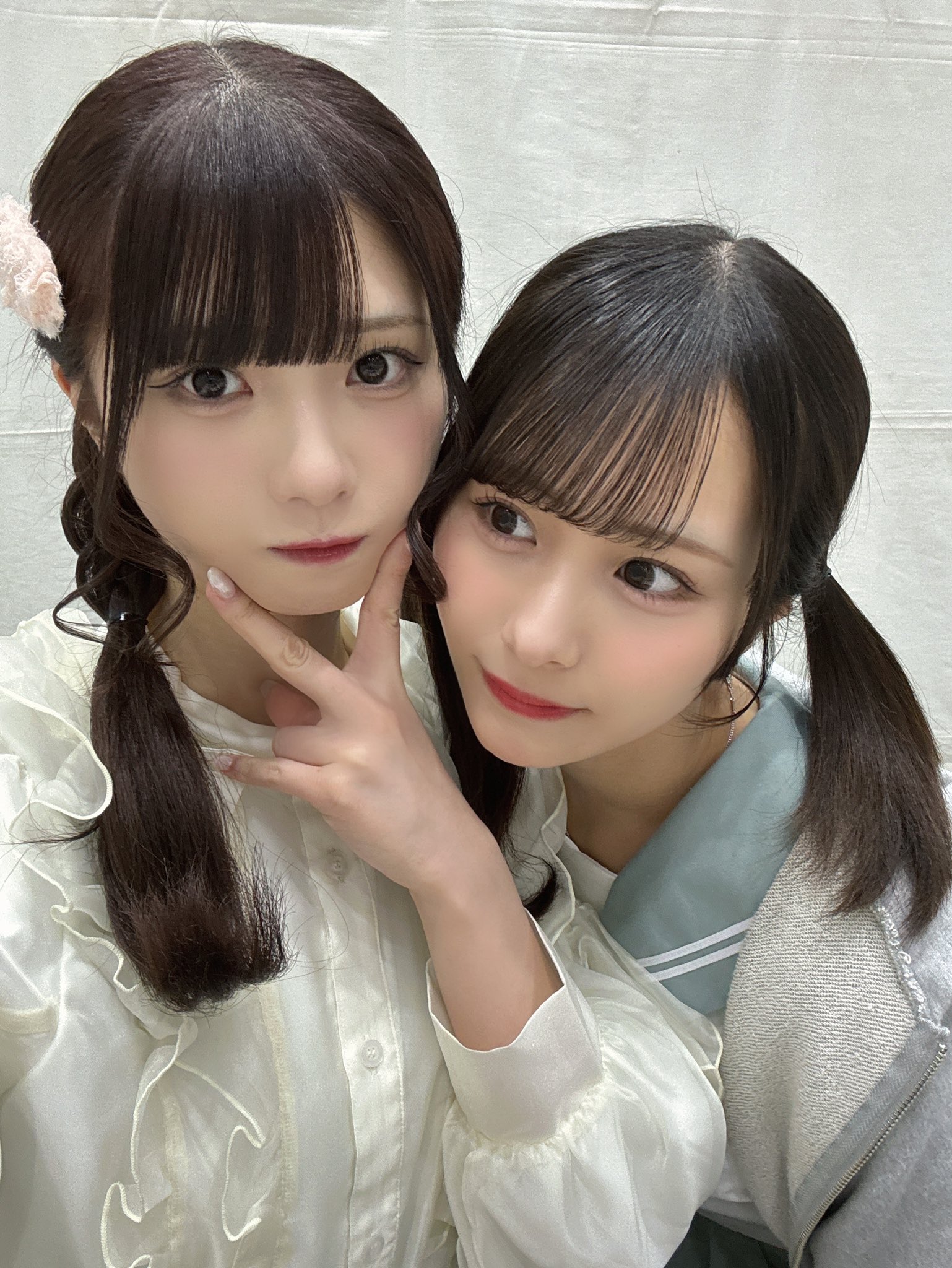わんこっち　菅波美玲 菅波 美玲 on X: 