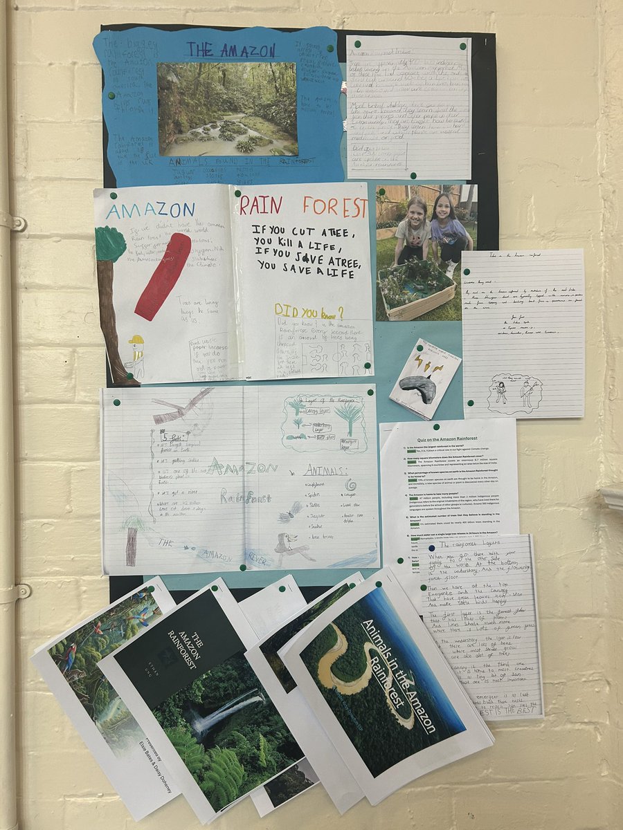 latimerprimary's tweet image. #ClassSP have created beautiful projects on the Amazon Rainforest! #LatimerGeography