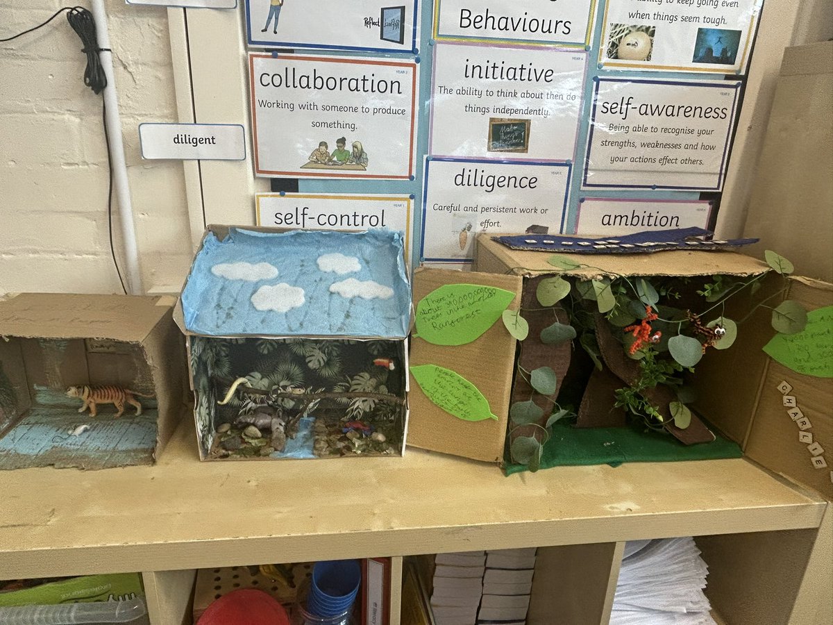 latimerprimary's tweet image. #ClassSP have created beautiful projects on the Amazon Rainforest! #LatimerGeography