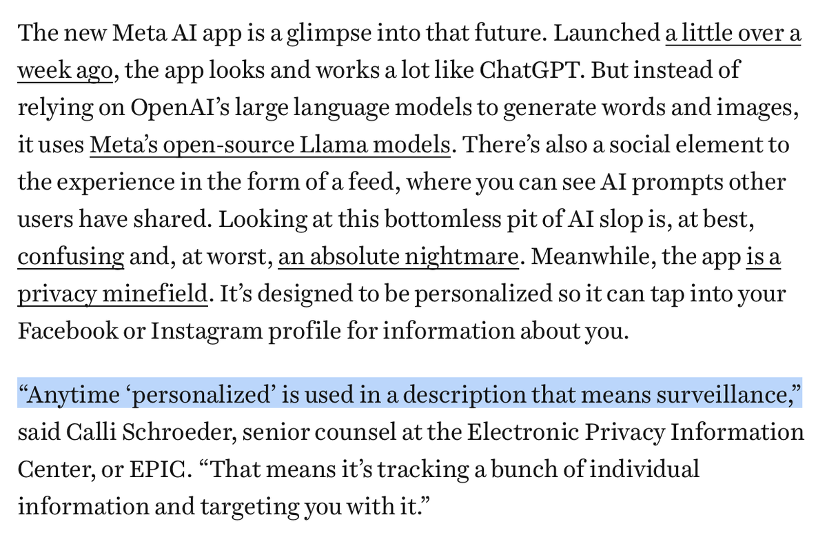 adamclarkestes's tweet photo. Nobody said our personalized AI-powered future would be fun https://t.co/9JdG1swHpA