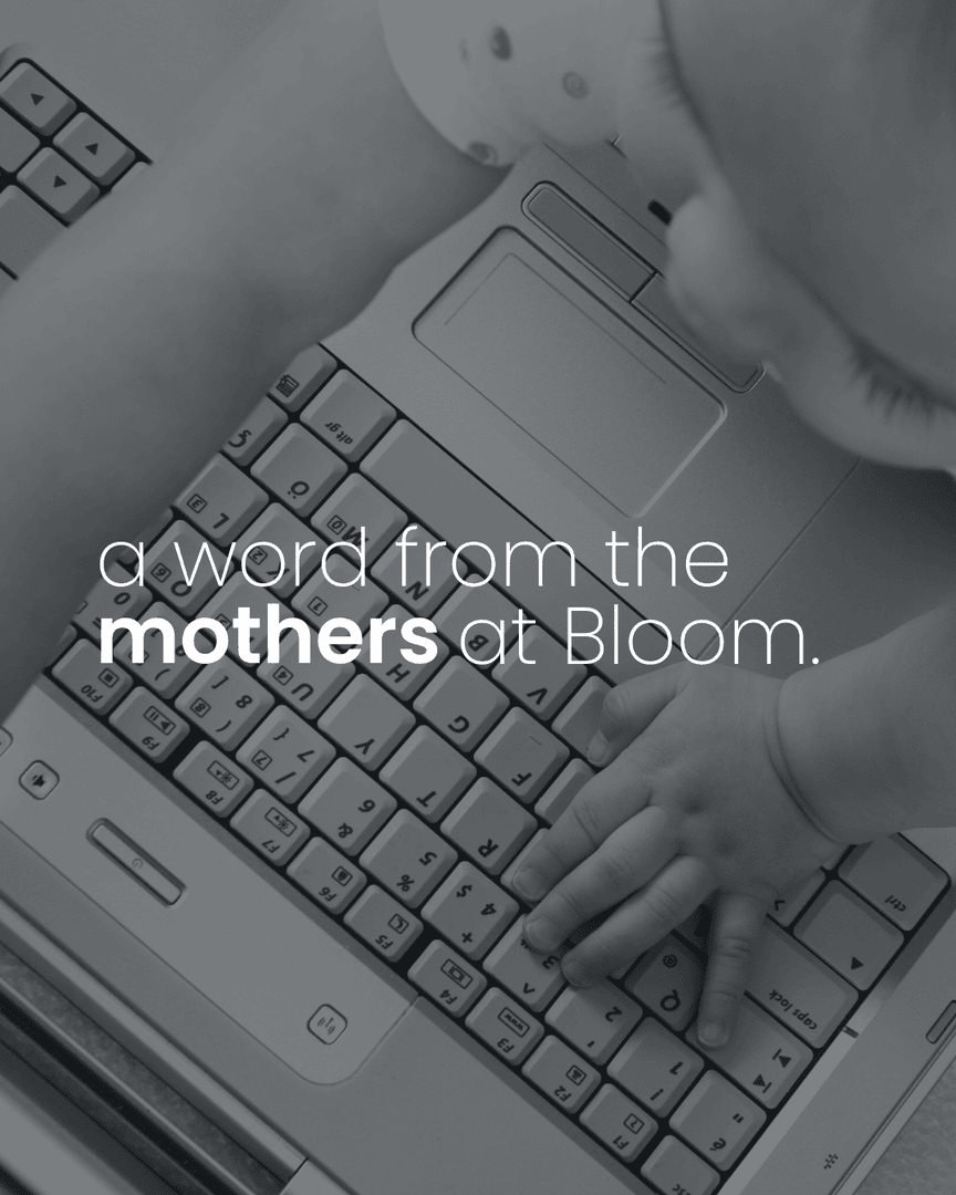 Bloom | Performance Marketing tweet media
