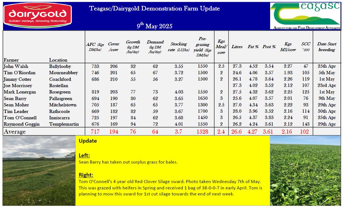 Pre-grazing yields difficult to maintain at 1400