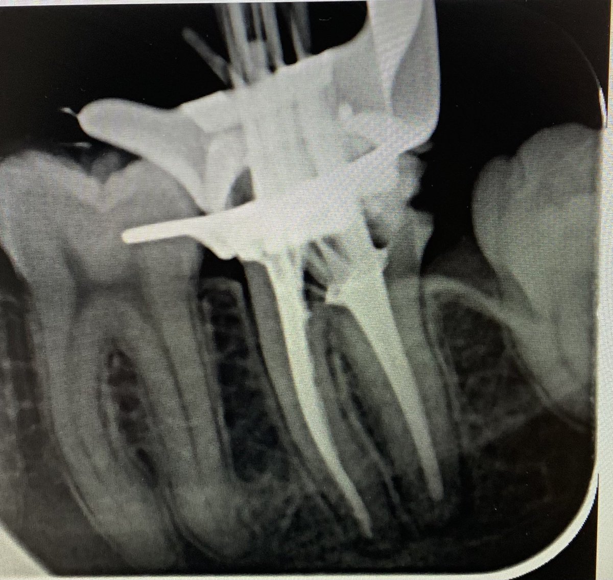Rana Al harbi tweet media