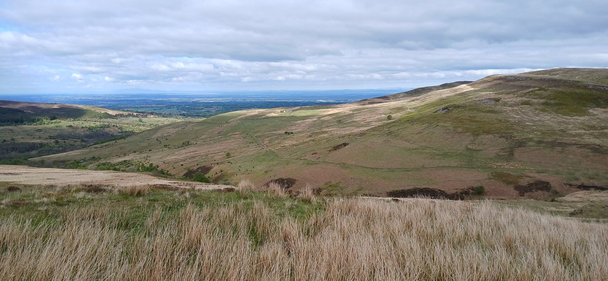 Women in Agriculture Awards one night, #RSPBGeltsdale, Carlisle the next 

Amazing few days with epic wildlife spots and dancefloor moves in the mix 😁
Now on the train home reflecting on lots of positivity about the industry we're involved in. The people and the places make it