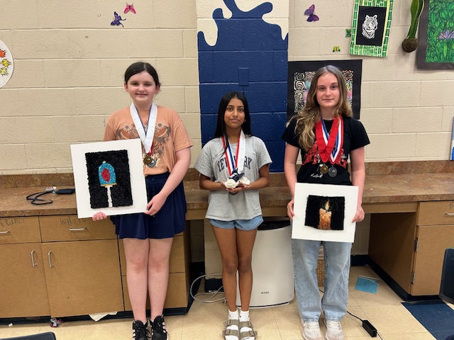 GCISD Fine Arts (@gcisdfinearts) on Twitter photo Congratulations to these amazing artists from <a href="/CmsColts/">Colleyville Middle School</a> who earned a platinum medal at Jr. VASE! Congratulations to these amazing artists from <a href="/CmsColts/">Colleyville Middle School</a> who earned a platinum medal at Jr. VASE!