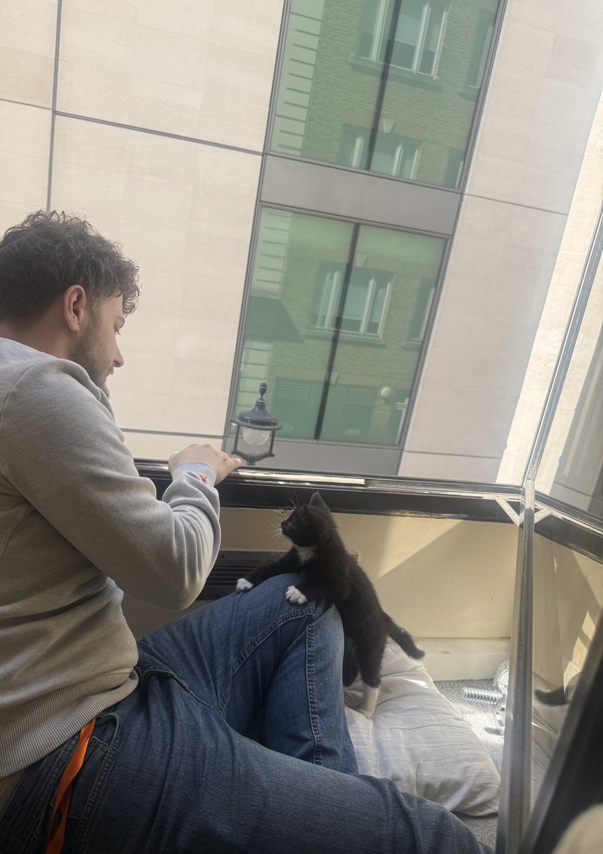 new kitten <a href="/nanandgrand/">Nan and Grand</a> 💖💐🌸