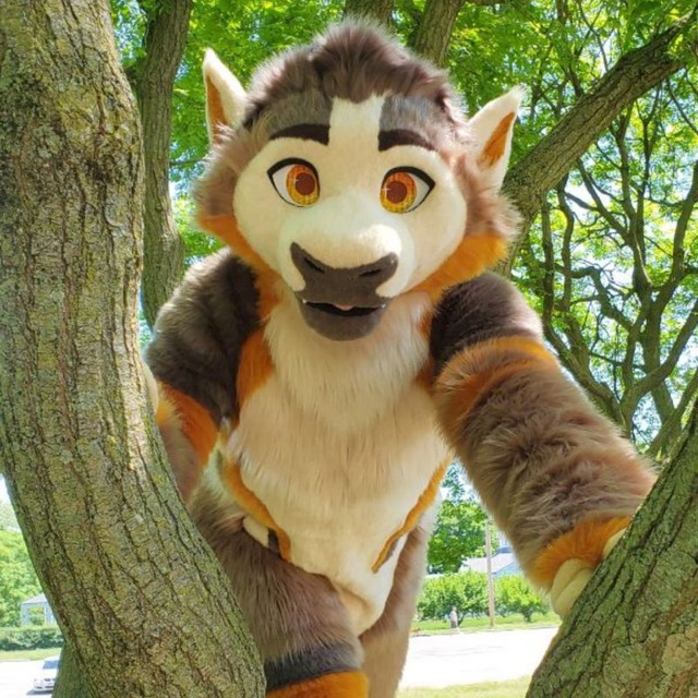 Hailing from the desolate regions known as Corn_I mean Ohio, BetaMonkey comes to spin some fat forest beats. From Funk and House to Tribal and Trap if you're ready to get lost in the jungle BetaMonkey will deliver all the genres for your wild woody adventures.
