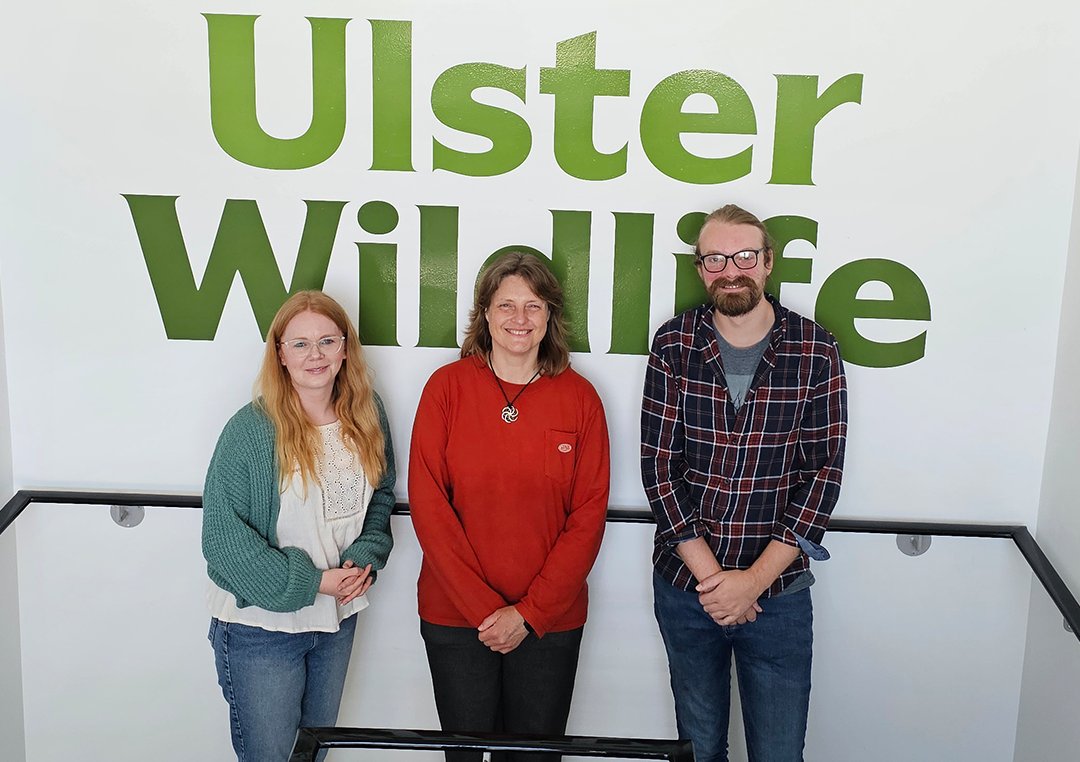 Ulster Wildlife (@ulsterwildlife) on Twitter photo We were delighted to welcome Kay Haw, Director of the <a href="/SquirrelAccord/">UK Squirrel Accord</a>, for a productive discussion on the future of #redsquirrel conservation across the UK. Great to connect with partners from NIEA, <a href="/NationalTrustNI/">National Trust NI</a>, Woodland Trust, and Forest Service. We were delighted to welcome Kay Haw, Director of the <a href="/SquirrelAccord/">UK Squirrel Accord</a>, for a productive discussion on the future of #redsquirrel conservation across the UK. Great to connect with partners from NIEA, <a href="/NationalTrustNI/">National Trust NI</a>, Woodland Trust, and Forest Service.