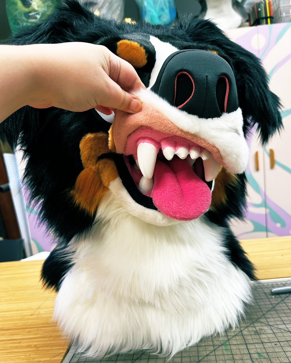 Bernese Mountain Dog is done!
