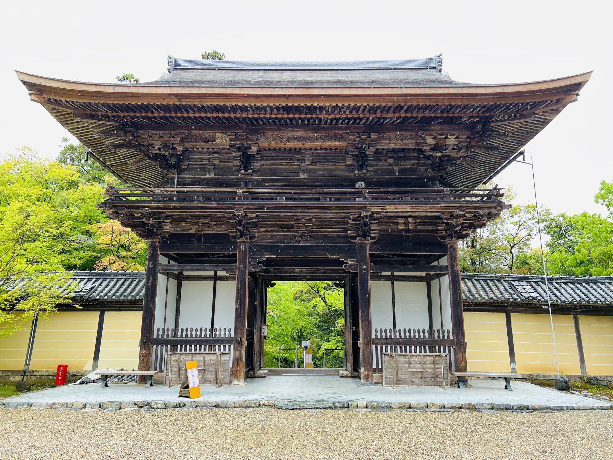 しゅ〜🐴いくん｜Shumaikun 🏯⛩🏛⛪️ (@shuma1115) / X