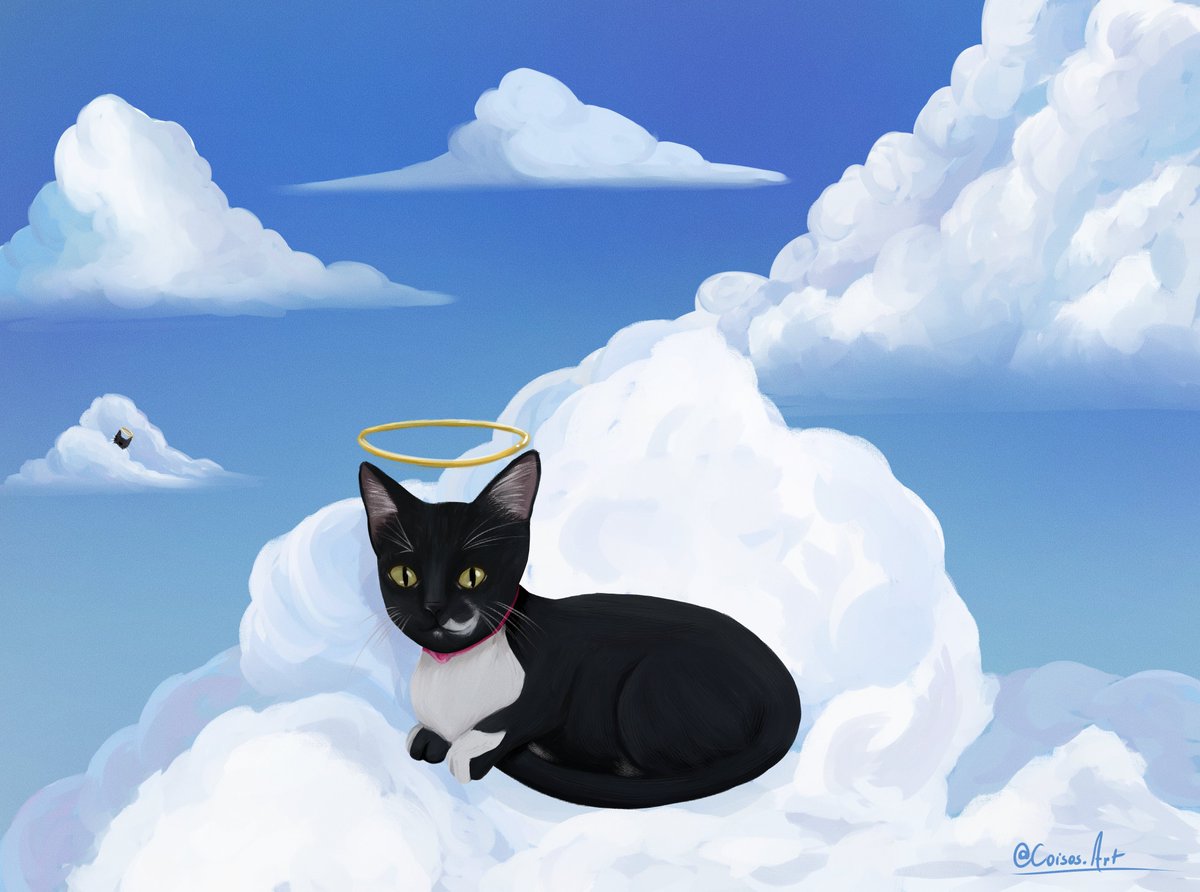 Ilustração que fiz para <a href="/meoworldx/">Com Ódio, Vicky</a> de sua gatinha.
#comission