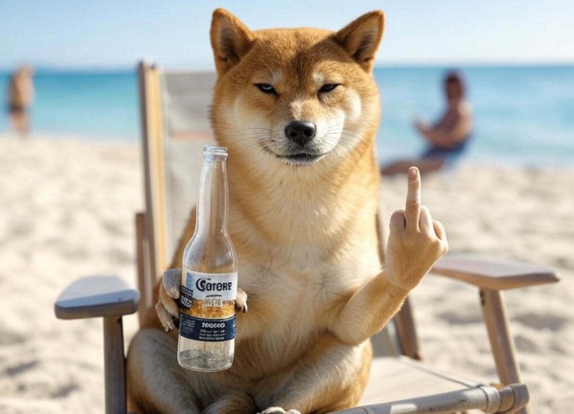 People fade good projects everyday.

They have lost the value of holding due to the inability to trust.

$RRM is going to create that trust as time goes along. 

1 billion mcap is easily achieved when you build a real community.

Trust the process 😎
We’re going to make it!