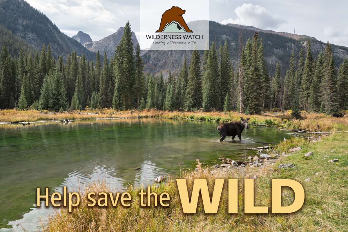 Do you value Wilderness and the wildlife that call it home?

Please consider becoming a Wilderness Watch member!

Now's a great time to join, because all donations up to $30,000 will be matched—DOUBLED—by one of our generous members!

Donate today —> wildernesswatch.salsalabs.org/give-to-wilder…