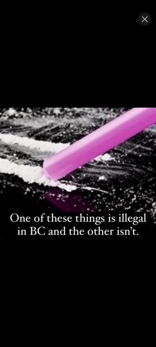 gettingintosilo's tweet image. 