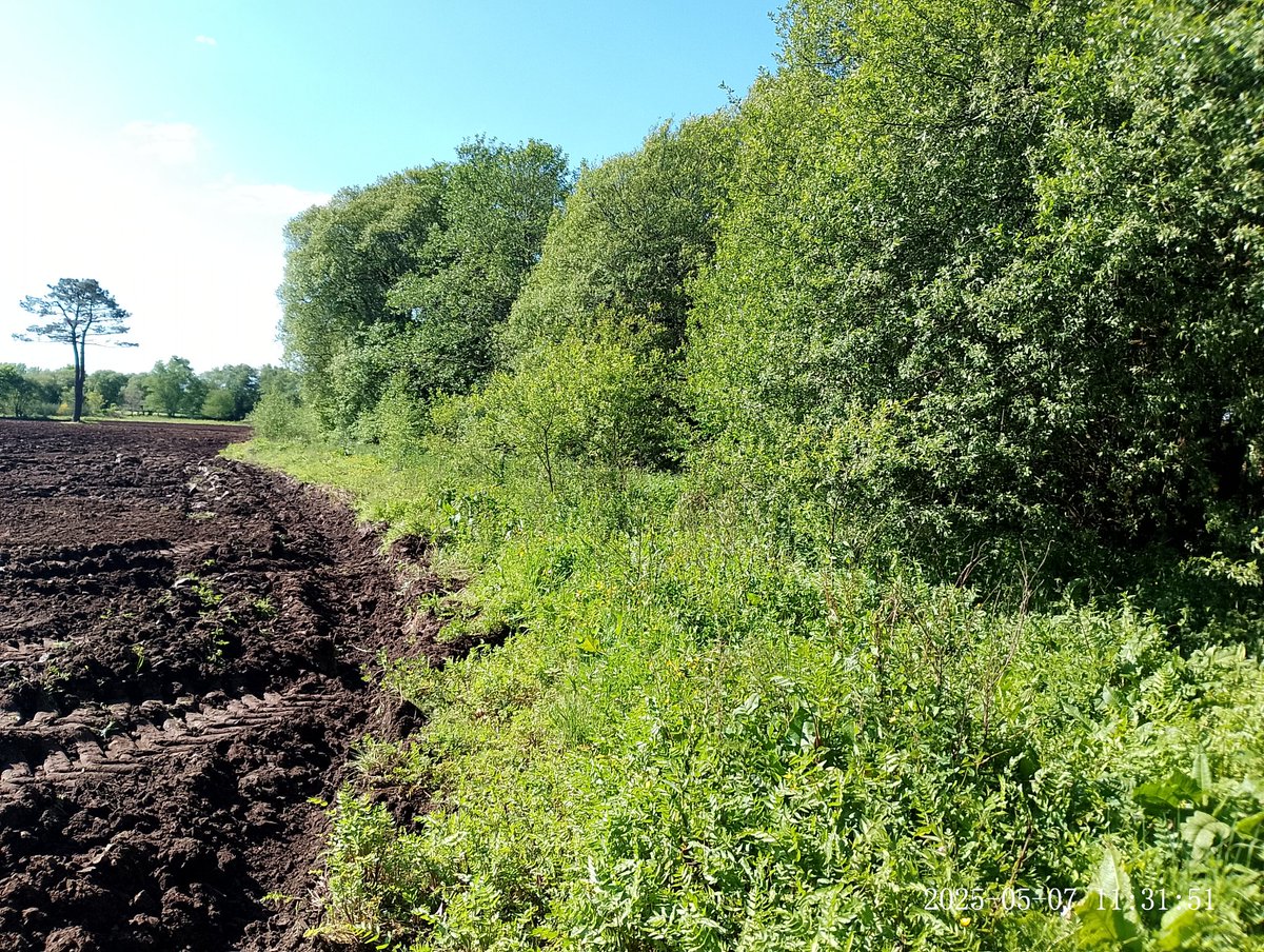 E como non, a colaboración agrogandeira na restauración hidrolóxica, permitindo a rexeneración natural das franxas fluviais; modelos prácticos de sostenibilidade, e protección da paisaxe, feitos que deberán compensarse, polo trato e conservación da verdadeira paisaxe agraria. 🌈
