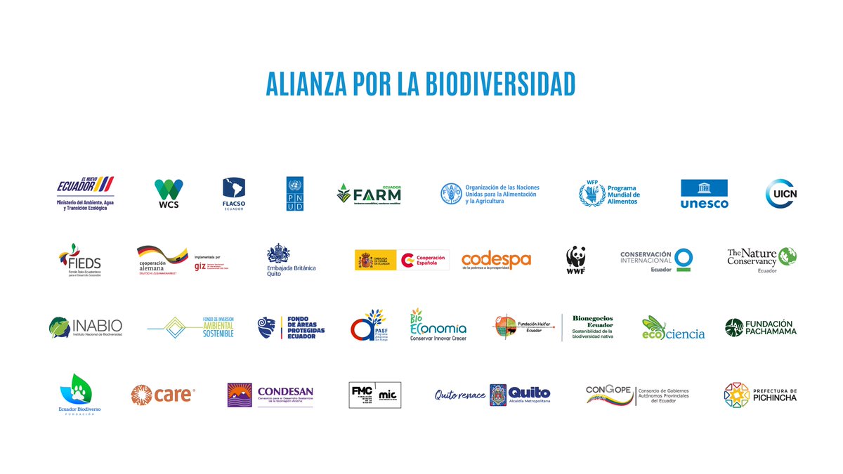 WWF Ecuador (@wwfecuador) on Twitter photo 👉Inauguramos Mayo, mes de la biodiversidad.
Las 37 organizaciones de la Alianza por la Biodiversidad creamos una agenda de eventos para reconectarte con la red de vida de la que formas parte
Una invitación para reconocer la magia de vivir entre 4 mundos🗓️ bit.ly/4iOXZlD 👉Inauguramos Mayo, mes de la biodiversidad.
Las 37 organizaciones de la Alianza por la Biodiversidad creamos una agenda de eventos para reconectarte con la red de vida de la que formas parte
Una invitación para reconocer la magia de vivir entre 4 mundos🗓️ bit.ly/4iOXZlD