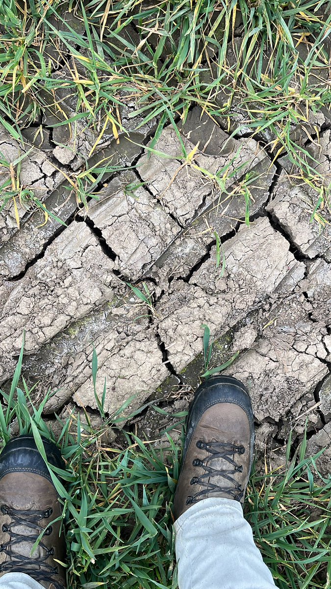 32mm total since 1st March,
9mm since 1st April.
Tough going.