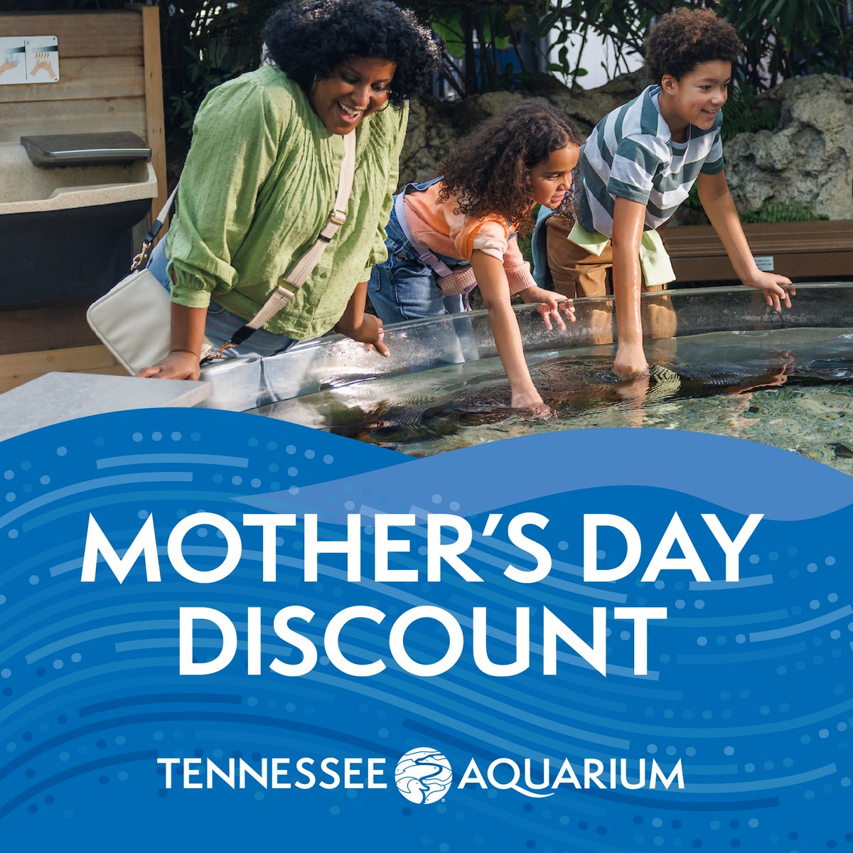 This Mother's Day —Sunday, May 11 — Mom visits for the youth price with the purchase of a youth’s admission. 💐 

(Please note: This offer is only available on-site at the Aquarium ticketing center.)