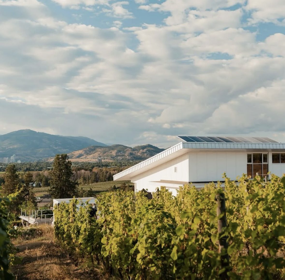 winesyndicate's tweet photo. Hey Vancouver! @TopDropCanada is next week! The city will be buzzing with winemakers from around the world. We are thrilled to have 3 producers joining us this year 🤩 

Sign up for some exciting seminars featuring @tantaluswine @QSoalheiro and Champagne Roger Constant Lemaire 🍇 https://t.co/KY3QDuXhjp