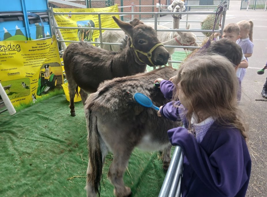 The children from Nursery, Reception, Year 1, Year 2 had a visit from Ian's Mobile Farm today. What a special visit meeting his many animals and interacting with them!