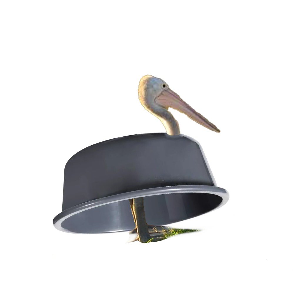 Vatikaani. SIIS VATIKAANI! TAJUATTEKO?