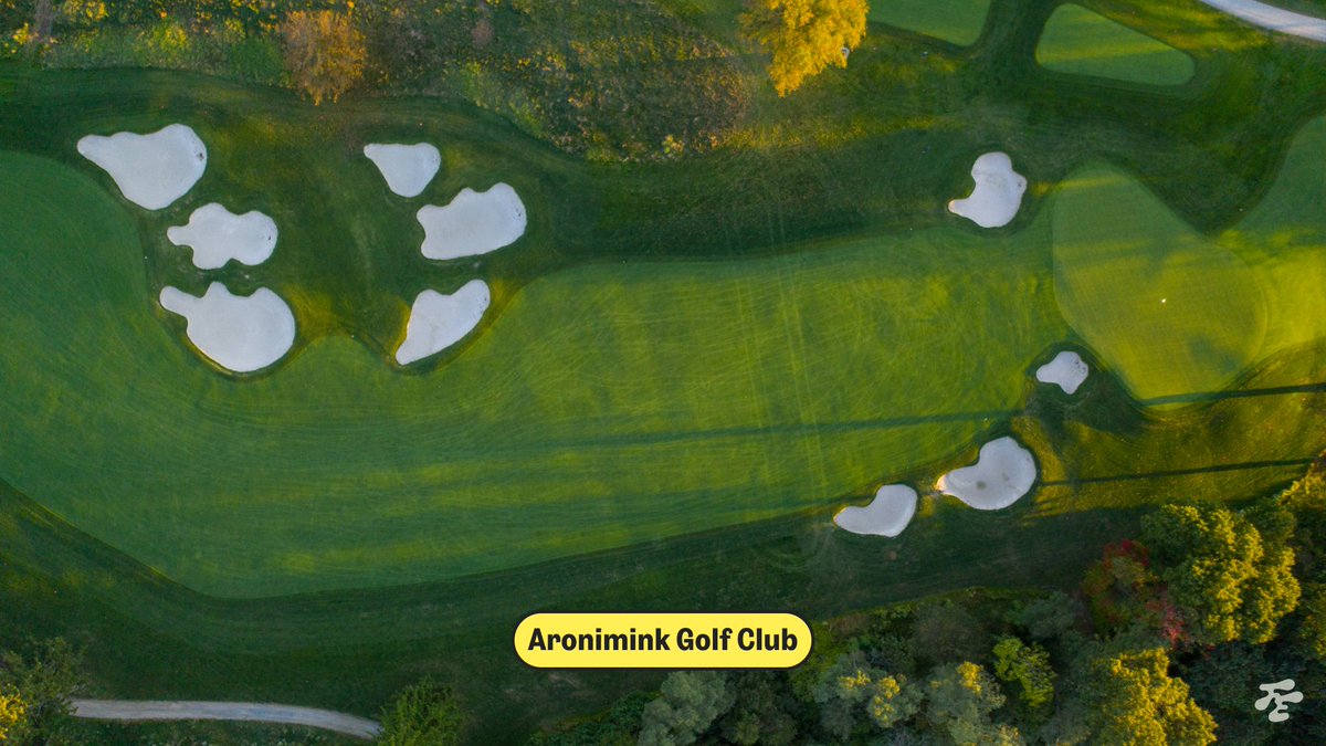 Fried Egg Golf tweet media