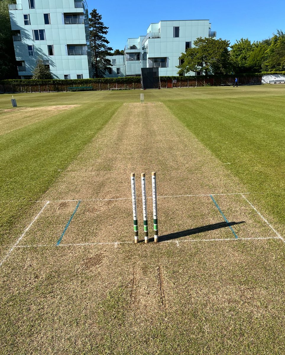 Great to see Women’s PL back 🔙🏏

Two home wins for <a href="/MerrionCC/">Merrion Cricket Club</a> &amp; <a href="/pembrokecricket/">Pembroke CC</a> 🙌🏽

#GM 🌱