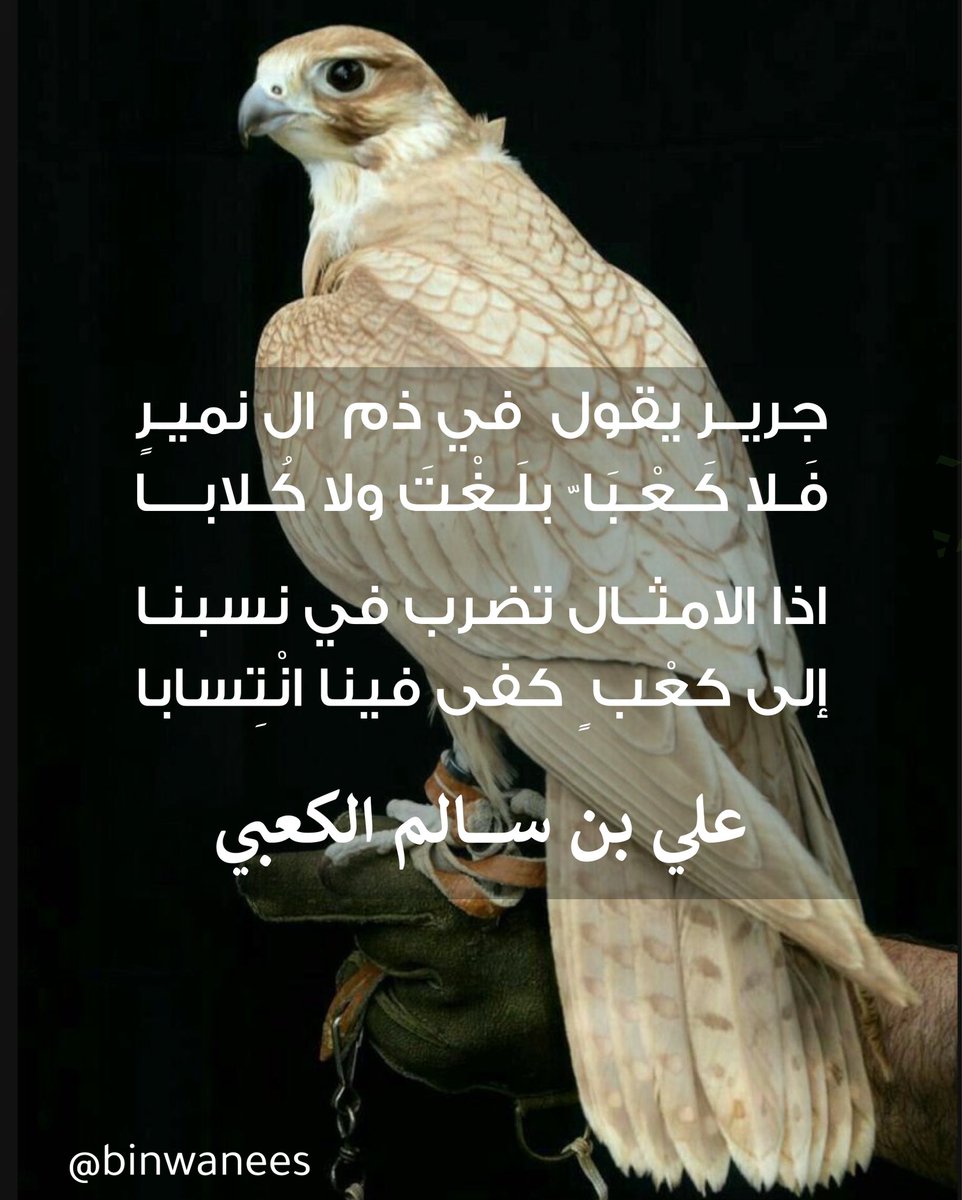 جريـر يقول  في ذم  ال نميرٍ
فَـلا كَـعْـبَا ّ بلَـغْتَ ولا كُـلابـا

اذا  الامثال تضرب في نسبنا
إلى كعْب ٍ كفى فينا  انْتِسابا

#علي_بن_سالم_الكعبي
