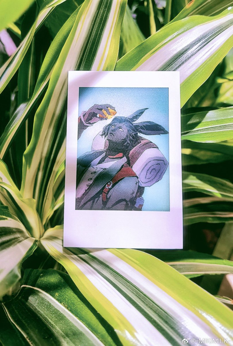 质感出乎意料好的700g触感膜对裱小卡，背面是对应的角色名称，CP31现场无料发放，欢迎领取