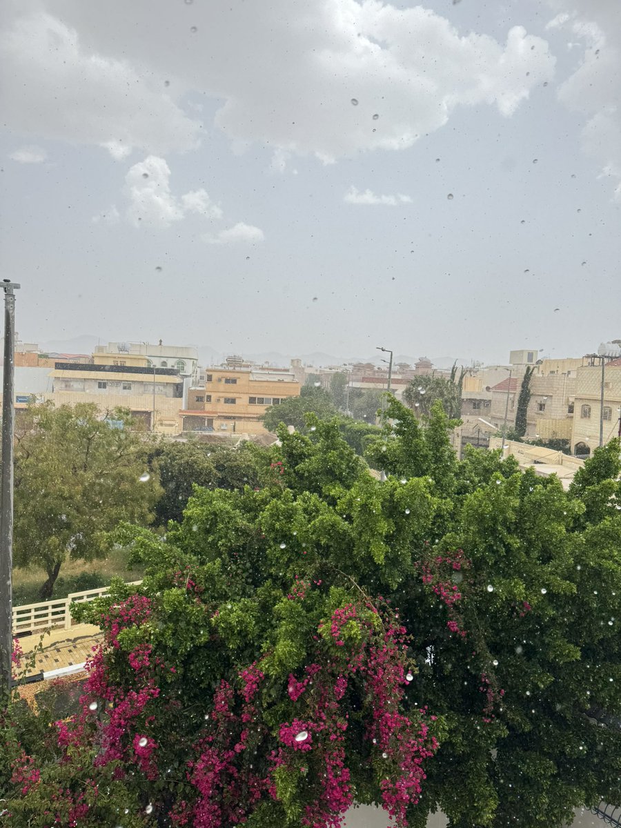 Fo0oz1234's tweet photo. #تصويري #الطائف #الطائف_الان #الطايف https://t.co/szYBNnqSwa