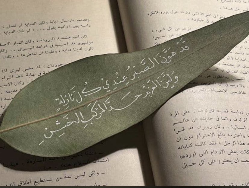 برق الوسم (@lvf1q) on Twitter photo 