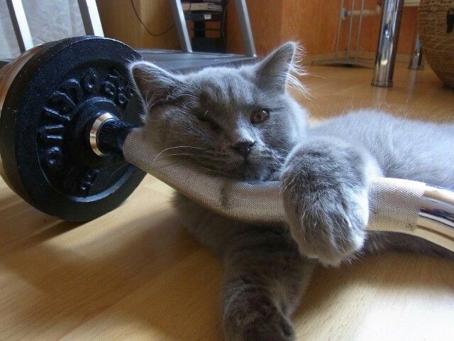 Miaw's tweet photo. https://t.co/PQn43Sr6CZ