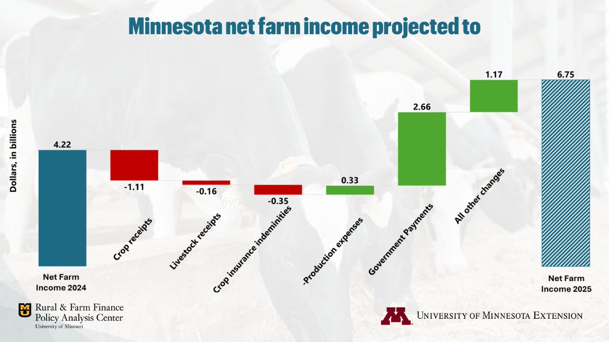 Minnesota’s net farm income is projected to rise 60% to $6.75 billion in 2025. A $2.66 billion boost in gov’t payments offsets lower crop/livestock receipts. Production expenses fall $354 million on cheaper feed, fuel &amp; pesticides.

🔗 raff.missouri.edu/farm-income/