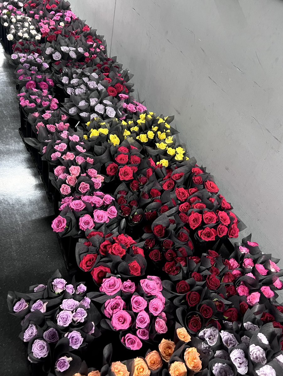 ahi_takuto's tweet image. world's end girlfriend
#抵抗と祝福の夜
から1年。
廃棄される予定の花をとんでもない量、愛でてもらえる経験をさせてもらいました。