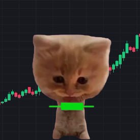 hope you enjoying the green candles !!

courtesy - $PUMPCAT