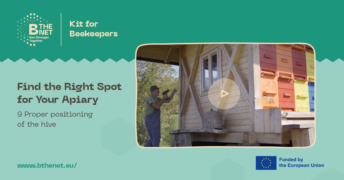 New to beekeeping or already a pro? Stay updated with legal requirements!
The Slovenian Beekeepers’ Association explains how to register as a beekeeper &amp; apiary in this helpful video.
Another gem from our 'Kit for Beekeepers' series. 🐝 Watch now! youtu.be/sOEn-d5iKKU
<a href="/CzsNoc/">Boštjan Noč,</a>