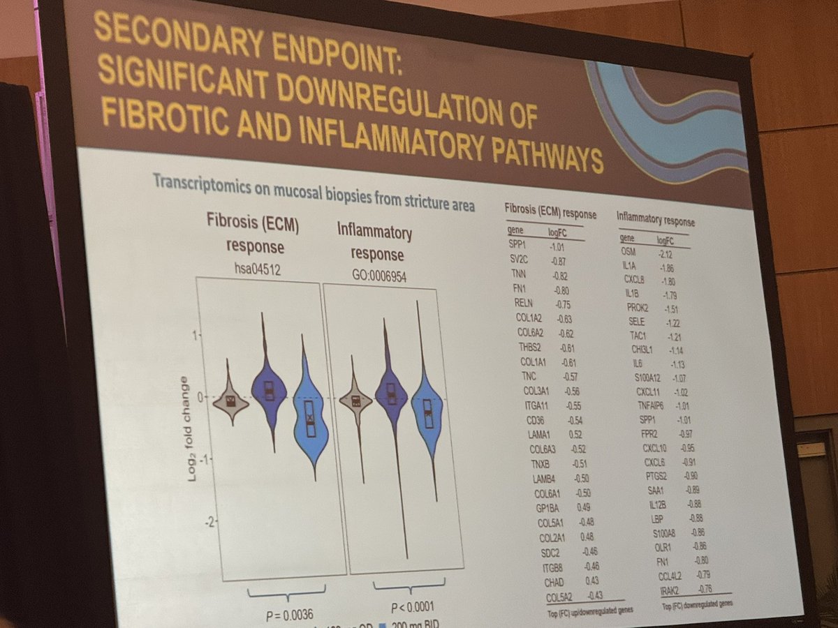 Parakkal Deepak MD, MS, FACG (@p_deepakibdmd) on Twitter photo For me the most impactful data <a href="/IBD_FloMD/">Florian Rieder</a> #DDW2025 was interim analysis of #Stenova 1st stricturing CD trial showing esp 200 qd dose:
- Safety/tolerability prim. endpoint
- Improvements in SES-CD, scope passability & MRE findings
- Symptom improvement
- Transcriptional changes For me the most impactful data <a href="/IBD_FloMD/">Florian Rieder</a> #DDW2025 was interim analysis of #Stenova 1st stricturing CD trial showing esp 200 qd dose:
- Safety/tolerability prim. endpoint
- Improvements in SES-CD, scope passability & MRE findings
- Symptom improvement
- Transcriptional changes