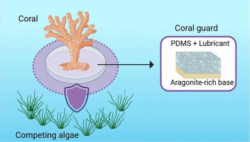 Coral Reef Engineering Lab (@reefengineers) on Twitter photo Excited to share our research <a href="/ACSPublications/">ACS Publications</a>!
We developed "coral-guards"āfouling-prevention coatings that reduce algal overgrowth, supporting coral reef resilience
špubs.acs.org/doi/10.1021/acā¦
<a href="/UCSanDiego/">UC San Diego</a> <a href="/Scripps_Ocean/">Scripps Institution of Oceanography</a> <a href="/UCSDJacobs/">UCSD Engineering</a> Excited to share our research <a href="/ACSPublications/">ACS Publications</a>!
We developed "coral-guards"āfouling-prevention coatings that reduce algal overgrowth, supporting coral reef resilience
špubs.acs.org/doi/10.1021/acā¦
<a href="/UCSanDiego/">UC San Diego</a> <a href="/Scripps_Ocean/">Scripps Institution of Oceanography</a> <a href="/UCSDJacobs/">UCSD Engineering</a>