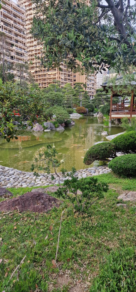 Tibix (@tiibiix) on Twitter photo 