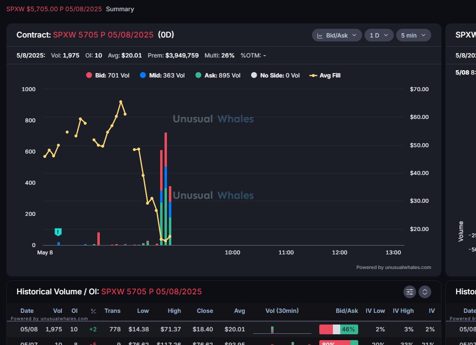 Options King Of The Sea tweet media
