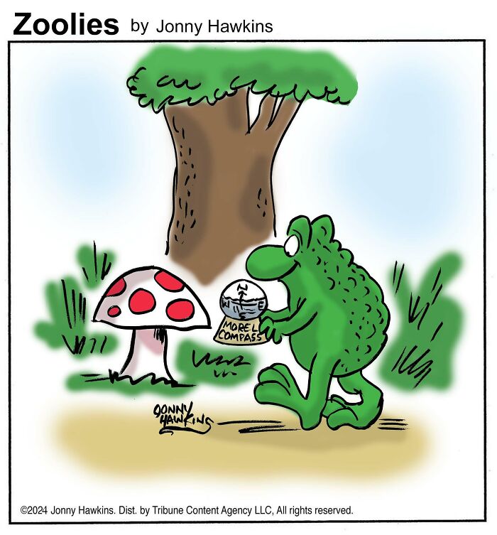 FriendFeral's tweet image. Zoolies - Jonny Hawkins #MushroomHunting