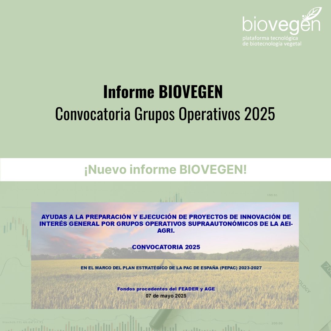 biovegen's tweet image. 📢 Nuevo informe BIOVEGEN sobre la Convocatoria Grupos Operativos 2025
Características relevantes de la convocatoria:
💰Presupuesto total de 46,5 M€
📅 Fecha límite: 4/06/25
Más información sobre esta convocatoria 👉 biovegen.org/publicaciones/…