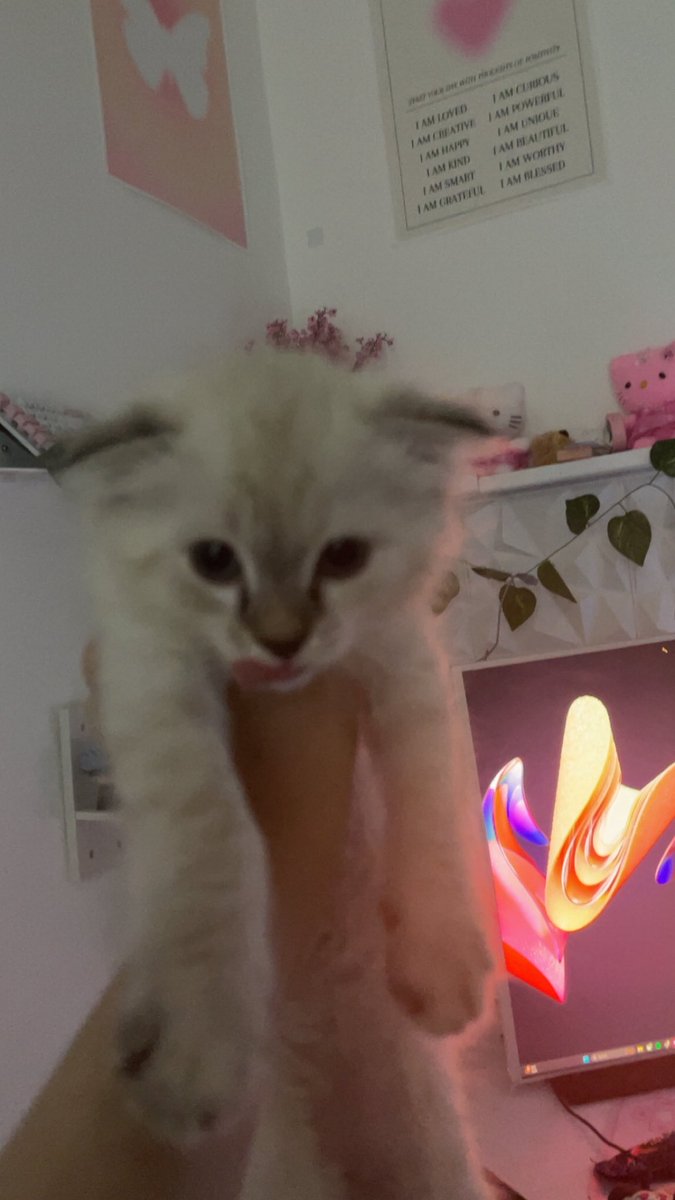 _g2dh's tweet image. عيالي 😋