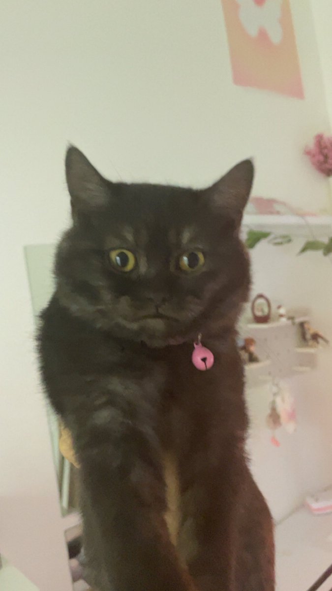 _g2dh's tweet image. عيالي 😋