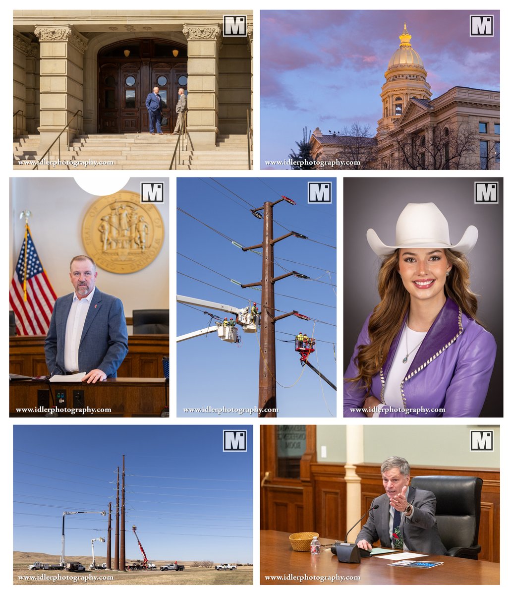 Matthew Idler Photo tweet media